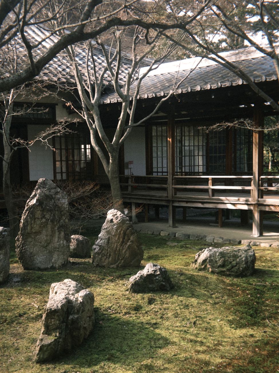 Zen moss garden framed by polished wooden veranda in Japan